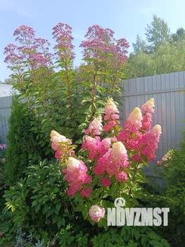 Дом 118м², 2-этажный, участок 4 сот.