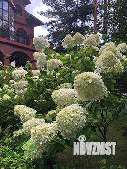 Коттедж 440м², 3-этажный, участок 42 сот.