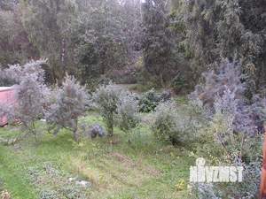 Дом 40м², 2-этажный, участок 12 сот.