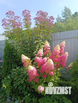 Дом 118м², 2-этажный, участок 4 сот.  