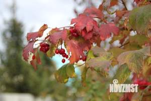 Дом 144м&sup2;, 1-этажный, участок 6 сот.  