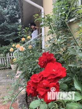 Таунхаус 254м², 3-этажный, участок 3 сот.  