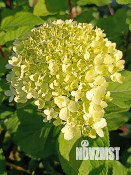 Дом 118м², 2-этажный, участок 4 сот.  