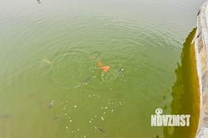 Таунхаус 267м², 3-этажный, участок 5 сот.  