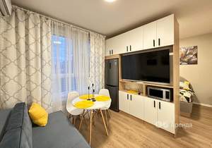 Студия квартира, на длительный срок, 28м2, 11/17 этаж