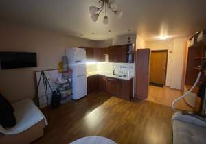 Студия квартира, на длительный срок, 29м2, 14/25 этаж