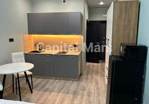 1-к квартира, на длительный срок, 20м2, 11/16 этаж