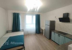 Студия квартира, на длительный срок, 25м2, 13/22 этаж