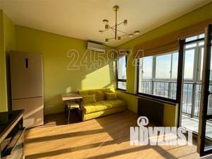 Студия квартира, на длительный срок, 24м2, 25/25 этаж