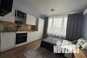 1-к квартира, посуточно, 22м2, 8/11 этаж