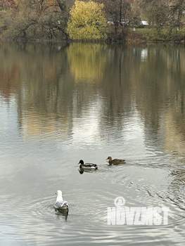 1-к квартира, на длительный срок, 39м2, 11/15 этаж