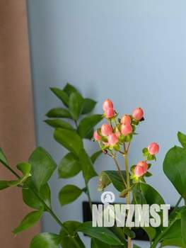 1-к квартира, посуточно, 22м2, 1/1 этаж