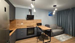 1-к квартира, на длительный срок, 34м2, 14/17 этаж