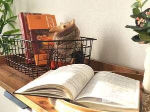 Студия квартира, посуточно, 22м2, 2/17 этаж