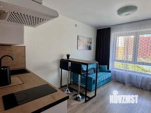 1-к квартира, на длительный срок, 20м2, 4/17 этаж