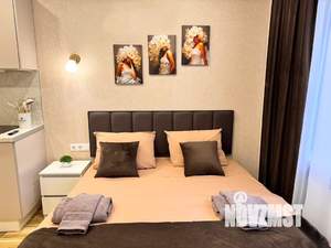 Студия квартира, посуточно, 20м2, 2/11 этаж