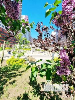 Студия квартира, на длительный срок, 36м2, 16/25 этаж