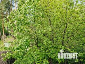 2-к квартира, на длительный срок, 44м2, 2/4 этаж