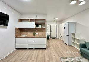 Студия квартира, на длительный срок, 25м2, 8/17 этаж