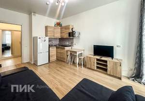 Студия квартира, на длительный срок, 20м2, 11/14 этаж