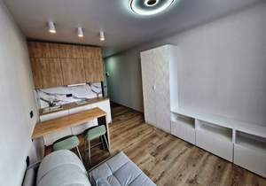 1-к квартира, вторичка, 20м2, 7/17 этаж