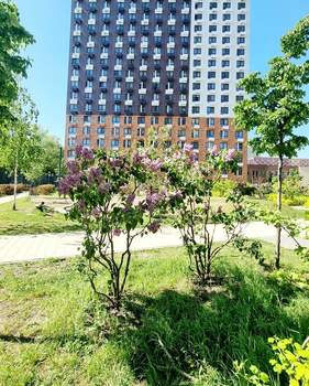 1-к квартира, вторичка, 35м2, 20/25 этаж