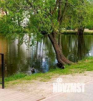 1-к квартира, вторичка, 35м2, 2/17 этаж