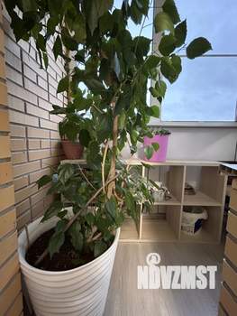 3-к квартира, вторичка, 72м2, 12/17 этаж