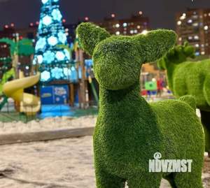 Фото квартиры на продажу (1)