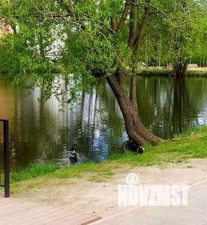 Студия квартира, вторичка, 23м2, 13/17 этаж