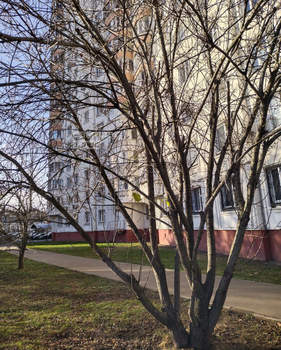 3-к квартира, вторичка, 75м2, 10/17 этаж