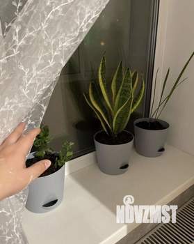 Фото квартиры на продажу (5)