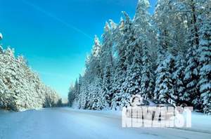 Студия квартира, вторичка, 17м2, 2/3 этаж