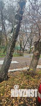 2-к квартира, вторичка, 46м2, 8/9 этаж