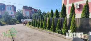 Студия квартира, вторичка, 24м2, 3/3 этаж